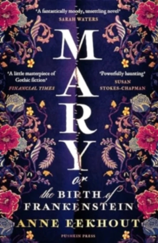 Image of Mary : or, the Birth of Frankenstein Paperback / softback