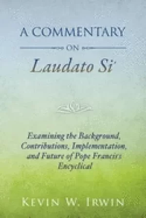 Image of commentary on laudato si examining the background contributions implementat