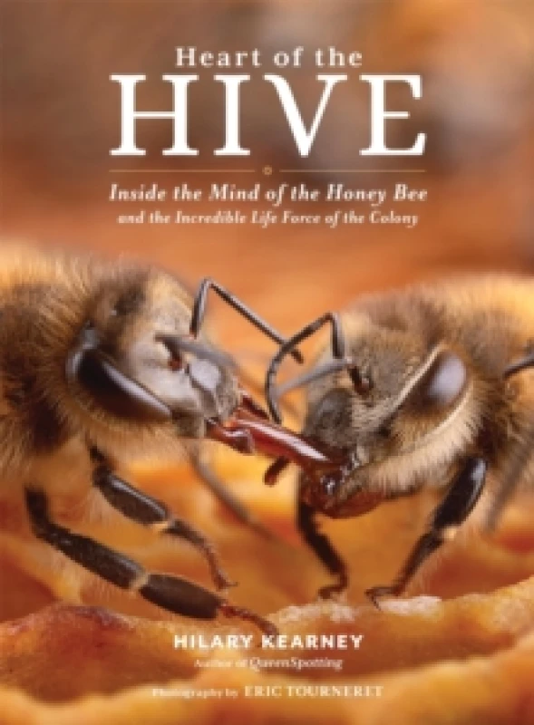 Image of Heart of the Hive : Inside the Mind of the Honey Bee and the Incredible Life Force of the Colony Hardback