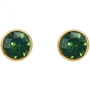 Image of Ladies Karen Millen Gold Plated Logo Stud Earring