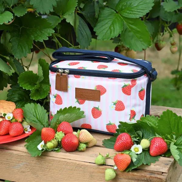 Image of Strawberries & Cream Candy Stripe Insulated 5 Litre Personal Picnic Cool Bag Blue