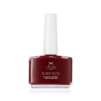 Image of Plant Pots - Dangerous Affair