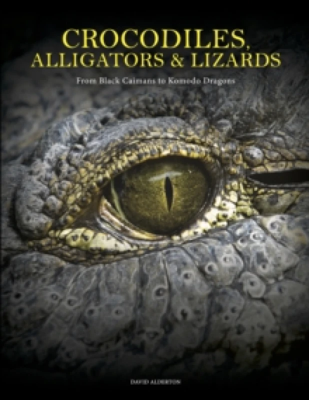 Image of Crocodiles, Alligators & Lizards : From Black Caimans to Komodo Dragons Hardback
