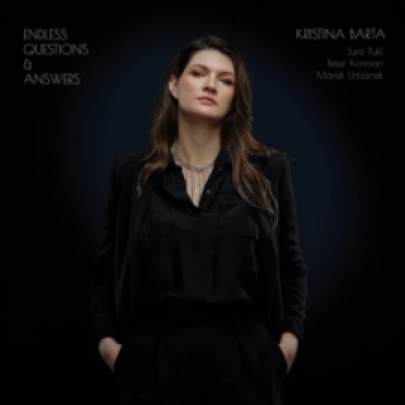 Image of Endless Questions and Answers Vinyl