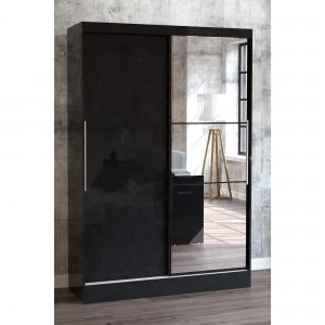 Image of Lynx 2 Door Sliding Wardrobe with Mirror
