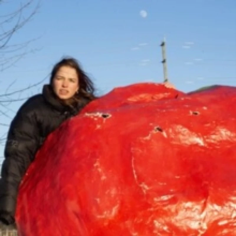 Image of Crispy Crunchy Nothing CD / Album Digipak