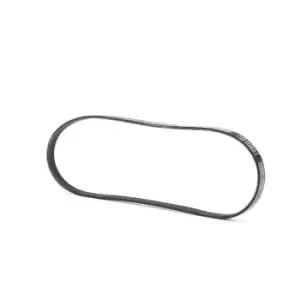Image of RIDEX V-ribbed belt AUDI,BMW,OPEL 305P0017 60543218,034903137B,053903137A AHU2174,GFB80890,GMB40890,11281437875,11281739470,11281743193,11287786705