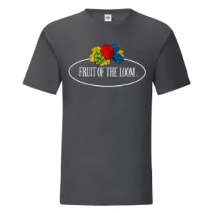 Image of Fruit of the Loom Mens Vintage Big Logo Heather T-Shirt (M) (Dark Heather)