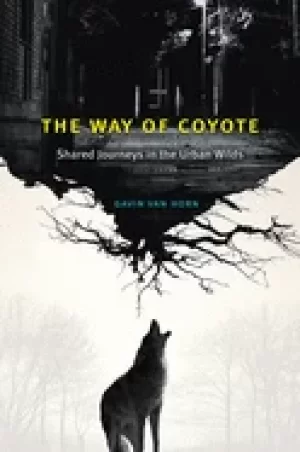 Image of way of coyote shared journeys in the urban wilds