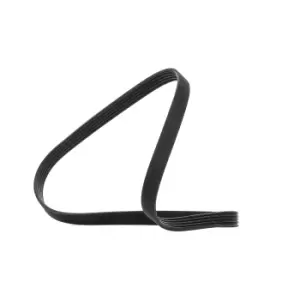 Image of Bosch V-ribbed belt 1 987 947 916 Serpentine belt,Auxiliary belt VW,RENAULT,FIAT,Golf VI Variant (AJ5),Golf V Variant (1K5),Jetta Mk5 (1K)