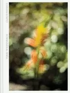 Image of terri weifenbach cloud physics