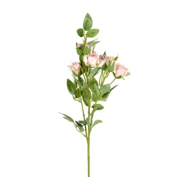 Image of Spray Of Pink Roses