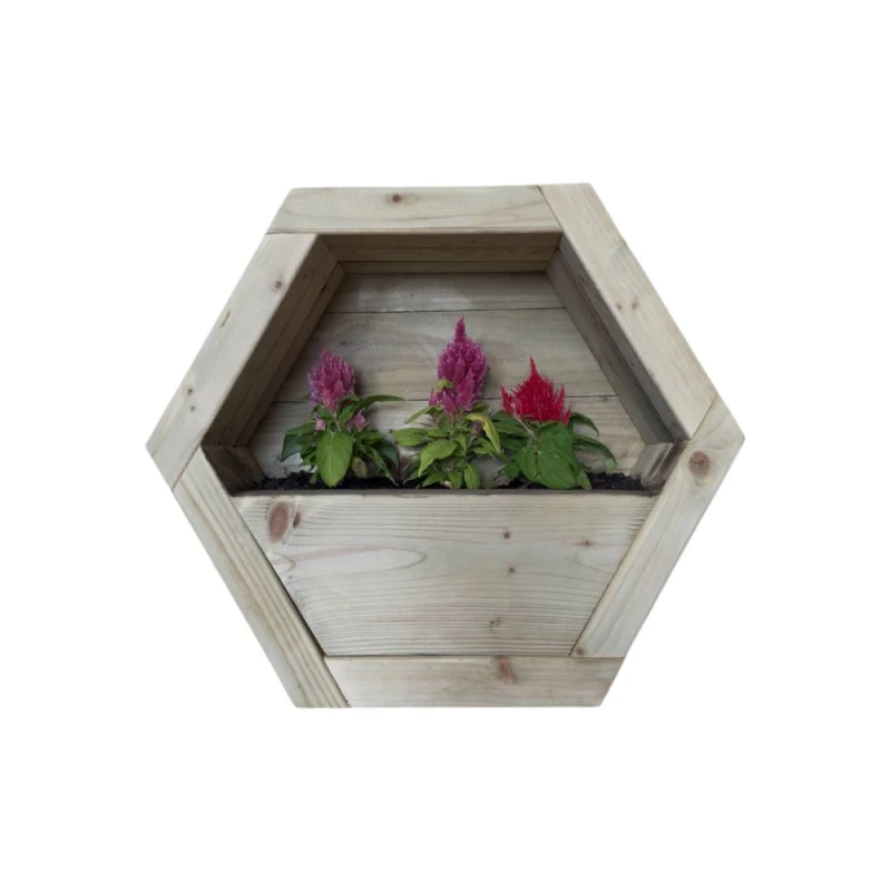 Image of Buttercup Farm Small Hanging Wooden Hexagon Wall Planter - L16 x W34 x H30cm in Light Brown Light Brown Unisex