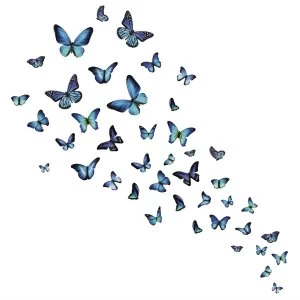 Image of Fine Decor Fine Decor Mariposa Butterfly Wall Art Kit