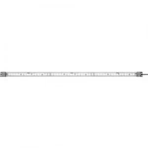 Image of Idec LF1B NE3P 2THWW2 3M White 13 W 900 lm