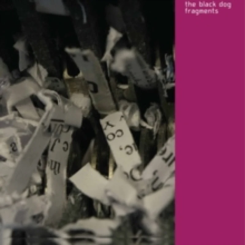 Image of Fragments (Remastered) Vinyl