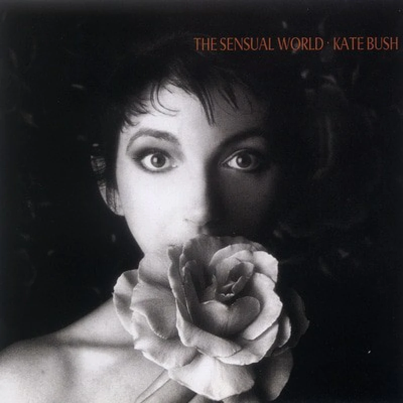 Image of Kate Bush - The Sensual World [CD / Remastered Album] Music CDs - Music CD