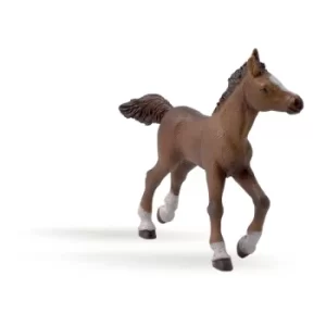 Image of PAPO Horse and Ponies Anglo-Arab Foal Toy Figure, Three Years or Above, Brown (51076)