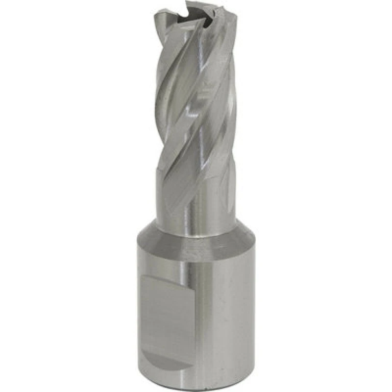 Image of Loops 13mm x 25mm Depth Rotabor Cutter - M2 Steel Annular Metal Core Drill 19mm Shank Metallics