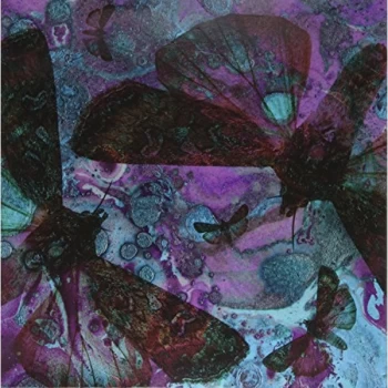 Image of The Gentle Good - Y Gwyfyn Vinyl