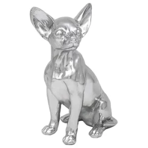 Image of Smooth Silver Chihuahua Sitting