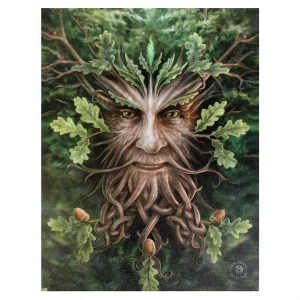 Image of Small Oak King Canvas Picture by Anne Stokes
