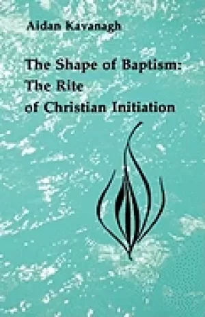 Image of shape of baptism the rite of christian initiation