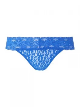 Image of Wacoal Halo Lace Bikini Brief Blue