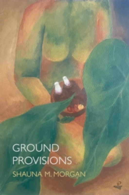 Image of Ground Provisions Paperback / softback