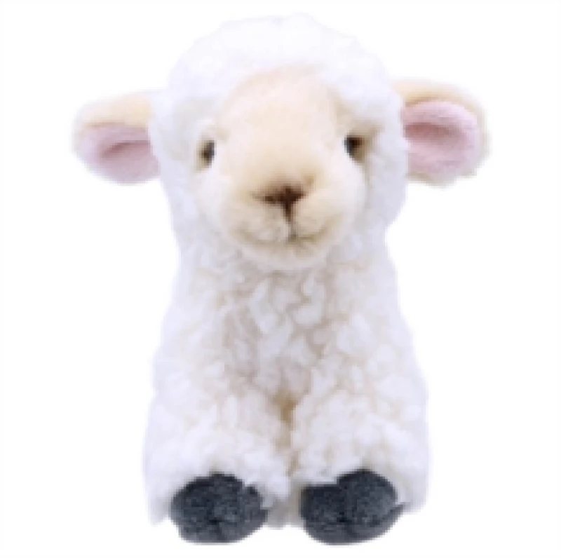 Image of The Puppet Company Wilberry Mini Lamb Soft Toy Multi unisex