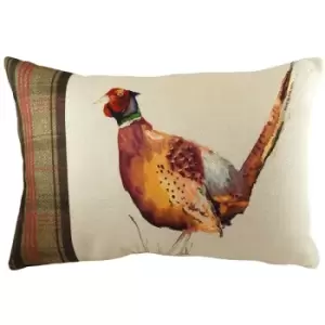 Image of Evans Lichfield Hunter Pheasant Cushion Cover (40cm x 60cm) (Multicoloured) - Multicoloured
