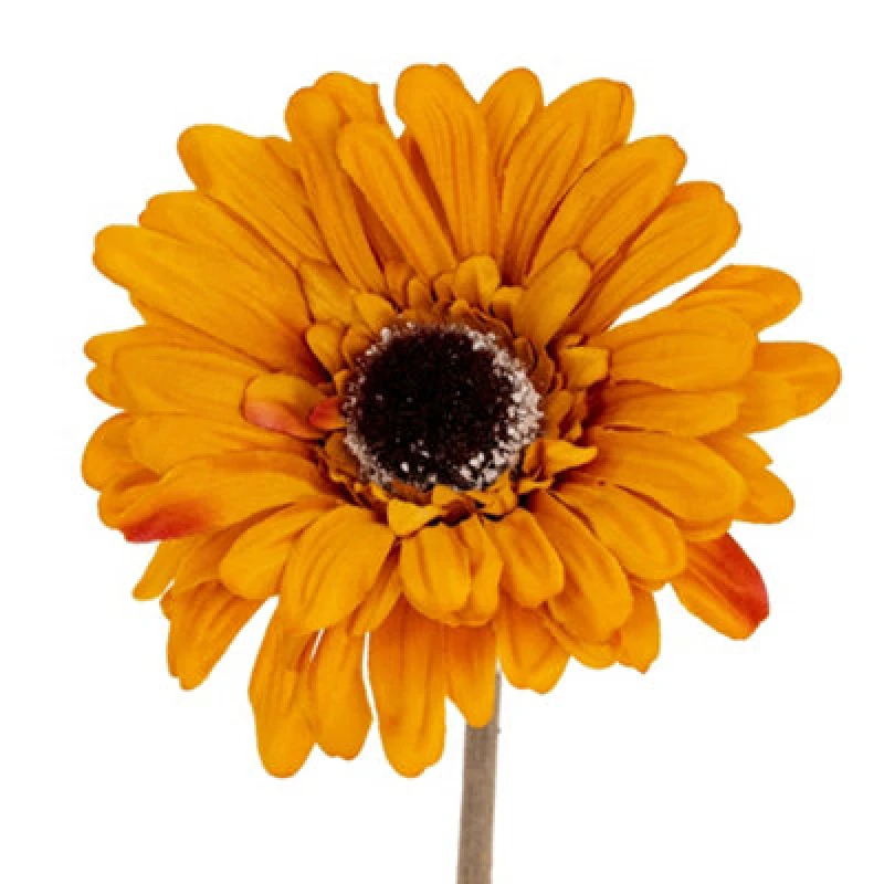 Image of Hill Interiors Soft Gerbera Gerbera Artificial Flower Orange (One Size)