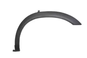 Image of BLIC Trim-/Protection Strip, wing Left Rear 5703-04-1617595P NISSAN,Qashqai II (J11, J11_)
