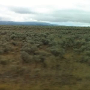 Image of Caroline Says - 50.000.000 Elvis Fans CanT Be Wrong Vinyl