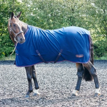 Image of John Whitaker Rastrick Fleece Rug 13 - Blue