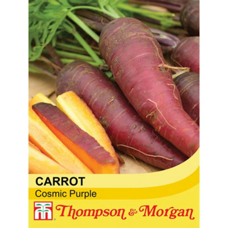 Image of Thompson & Morgan Carrot Cosmic Purple 1 Seed Packet (500 Seeds)