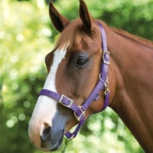 Image of Shires Pro Adjustable Headcollar - Purple