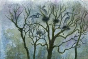 Image of Poems of Hampstead Heath and Regents Park by Dinah Livingstone Book