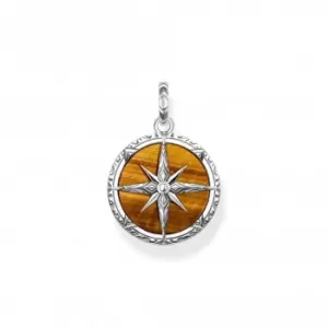 Image of Rebel At Heart Tiger's Eye Compass Pendant PE833-826-2