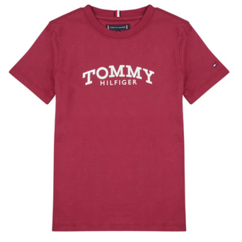 Image of Tommy Hilfiger MONOTYPE PRINT GRAPHIC T-SHIRT boys's Children's T shirt in Bordeaux