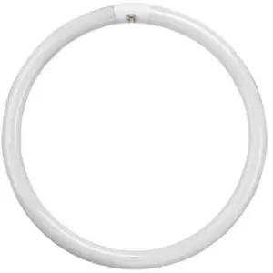 Image of Crompton Lamps Fluorescent T9 Circular 40W 4-Pin Warm White FC40W/830