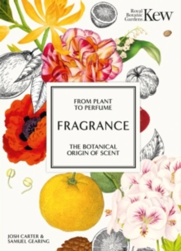 Image of Fragrance : From plant to perfume, the botanical origins of scent Hardback