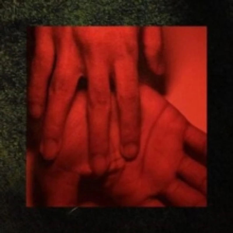 Image of Our hands against the dusk Vinyl