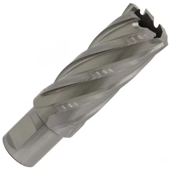 Image of Worksafe RBHSS24L Rotabor Cutter HSS Ø24mm - Cut Depth 50mm