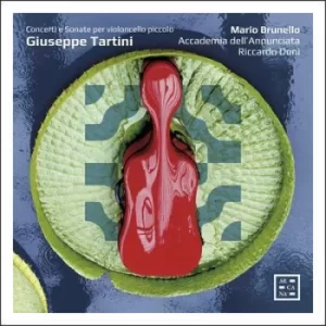 Image of Giuseppe Tartini Concerti E Sonate Per Violoncello Piccolo by Giuseppe Tartini CD Album