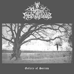 Image of Gallery of Sorrow by A Portrait of Flesh and Blood CD Album