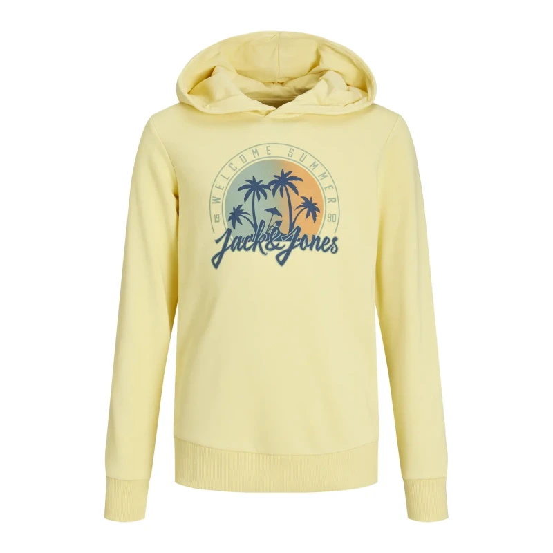 Image of jack & jones Child hoodie Jack & Jones Summer SMU Vibe Beige Male 14 ans