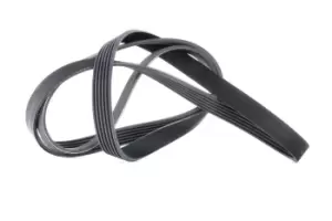 Image of CONTITECH V-ribbed belt AUDI,FIAT,ALFA ROMEO 6PK1856 50534146,60630747,60662991 60814395,60815988,71753671,078903137BL,60814395,4627397AB,60662991