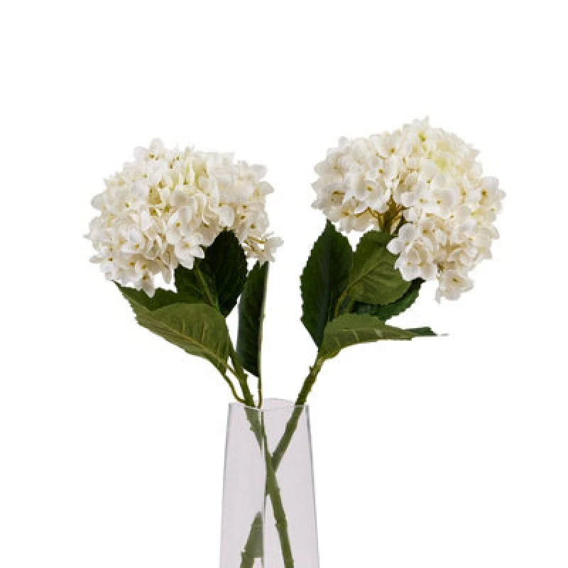 Image of White Hydrangea Stem