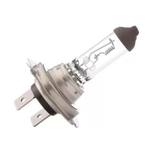 Image of RIDEX Light Bulbs MERCEDES-BENZ,VOLVO,IVECO 106B0013 1637338,1965507,3C4613D140AA Bulb, spotlight 21LN50410,259010091,81259010091,ZF259010007,215226